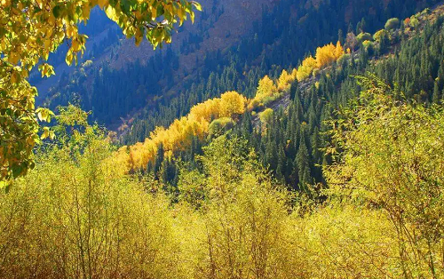 风水宝地图片 风水宝地大全图解