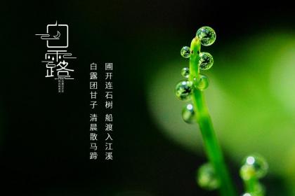 什么时候白露和中秋节在同一天