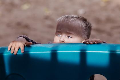 有没有兔妈妈生鼠宝宝的 有什么后果