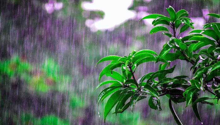 梦见下雨发洪水是什么征兆