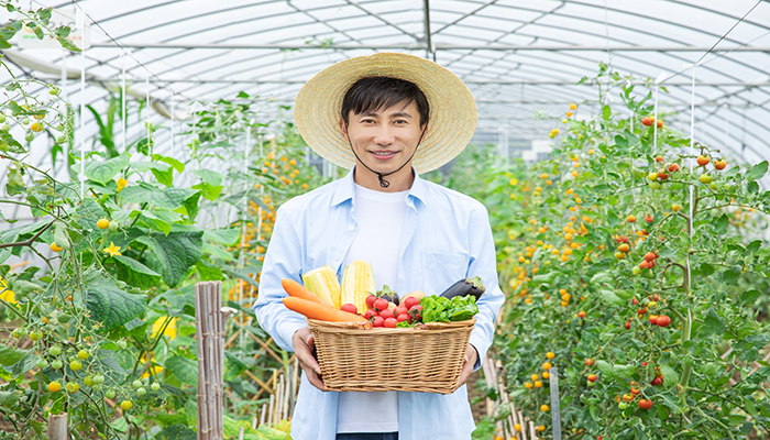 梦见菜园里结了好多蔬菜瓜果