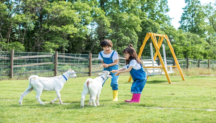 梦见自己同时抱着两个小孩