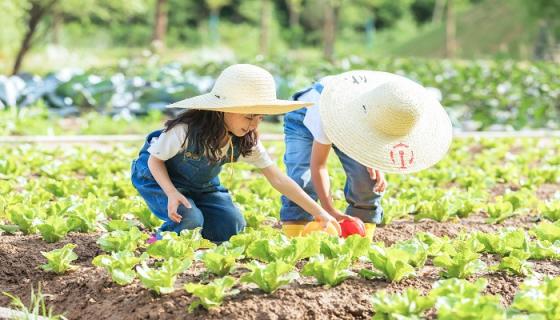 梦见自己同时抱着两个小孩