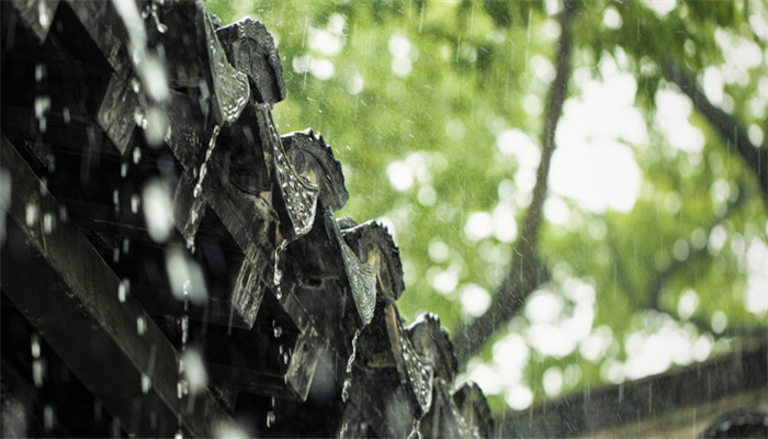 梦见下大雨到处都淹了