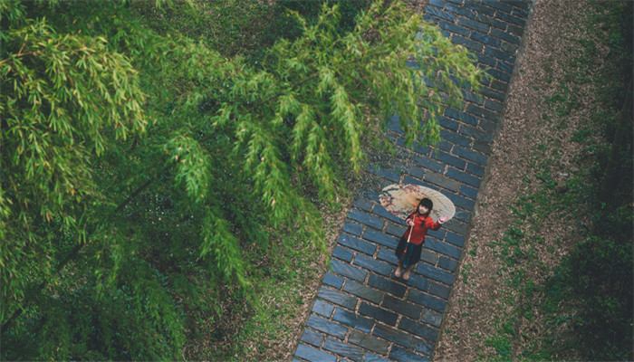 梦见自己冒着大雨前行