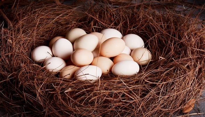 梦见在地里捡鸡蛋是什么预兆