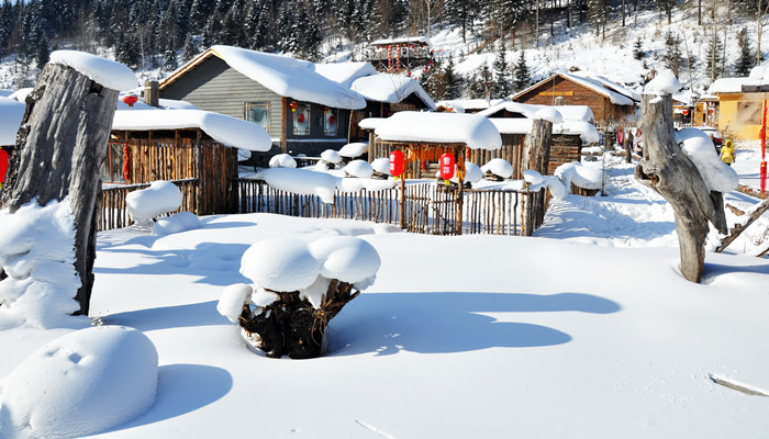 梦见回家满地大雪