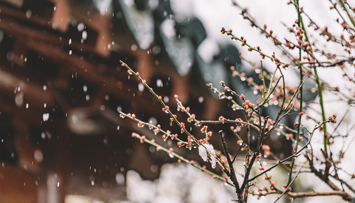 梦见外面下雪了是什么意思