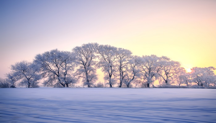 梦见太阳照在雪上