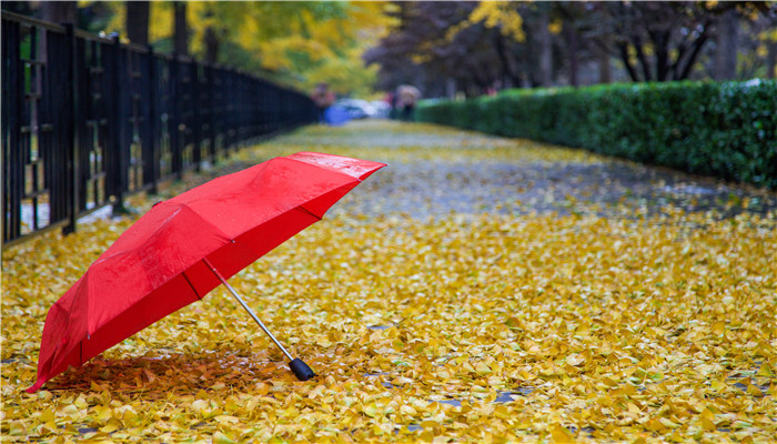 梦见好几把收拢的雨伞