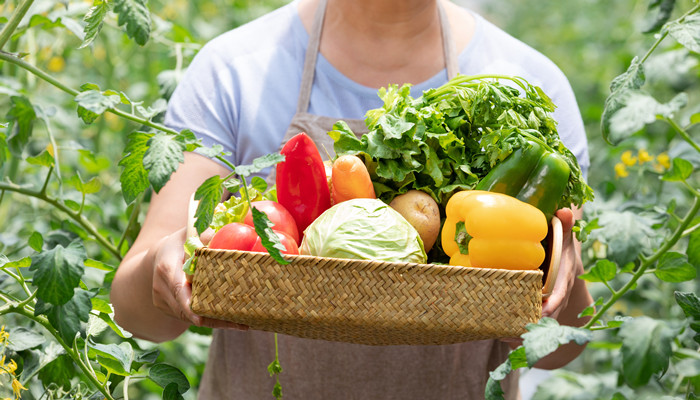 梦见大伯带我挖野菜