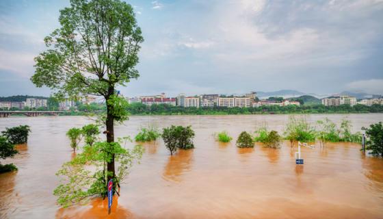 梦见自己被大水冲走了是什么意思