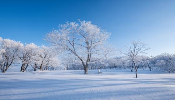 梦到冰天雪地预示什么