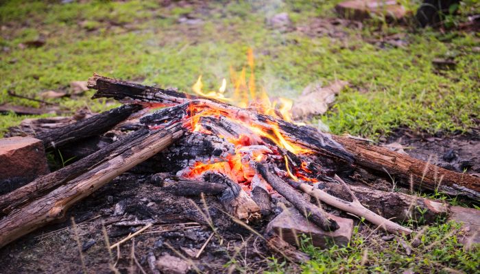 梦见树着火了,后来又扑灭了什么意思