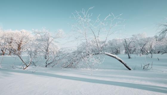 梦见滑雪场是什么征兆