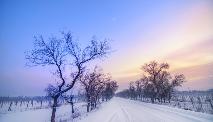 梦见下雪什么意思 周公解梦