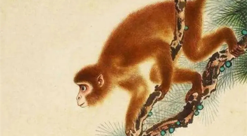 1992年猴是金还是水 92年属猴为什么说金命水猴