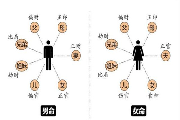 八字入门之十神的人事类象