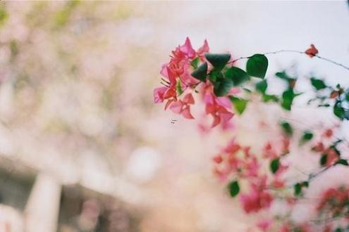 中秋节在古代叫什么节