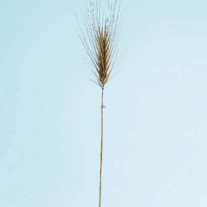 「韩雯雯」韩雯雯的名字解释含义