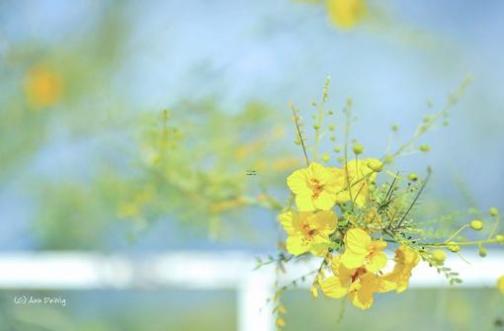 清明节：寒食节的由来和意义